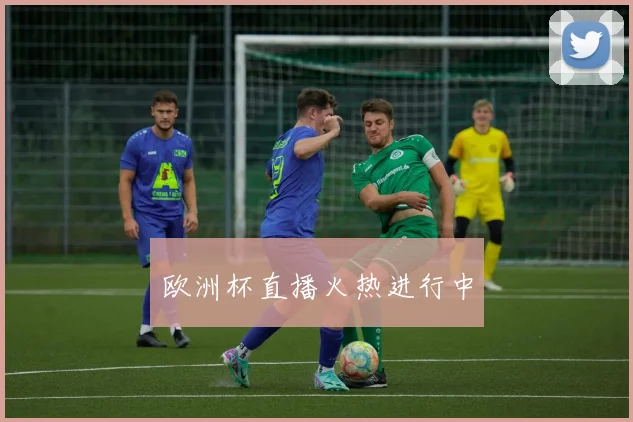 欧洲杯直播火热进行中