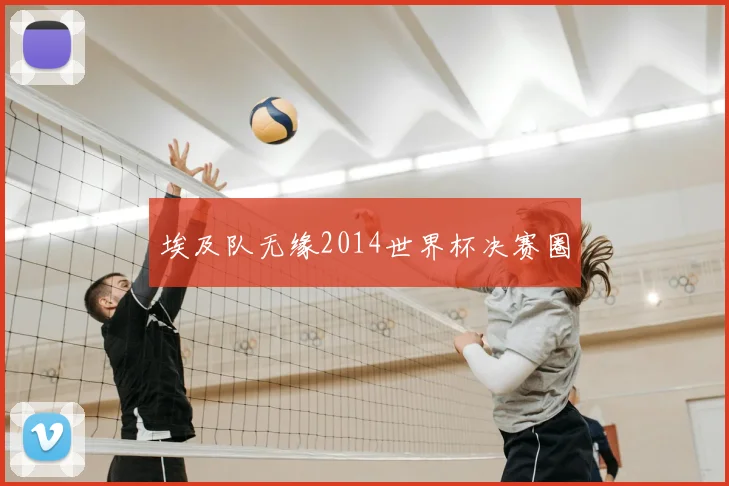 埃及队无缘2014世界杯决赛圈