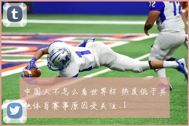 中国人不怎么看世界杯 热度低于其他体育赛事原因受关注_1