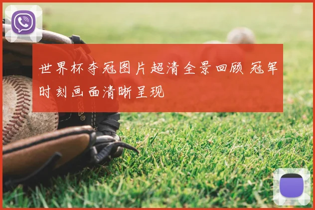 世界杯夺冠图片超清全景回顾 冠军时刻画面清晰呈现