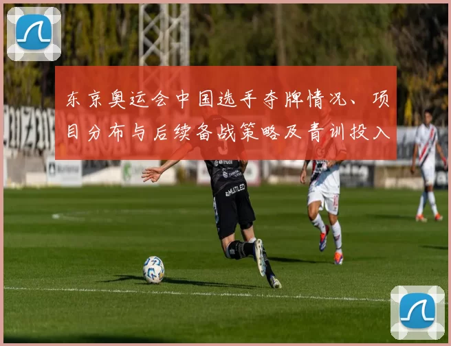 东京奥运会中国选手夺牌情况、项目分布与后续备战策略及青训投入调整