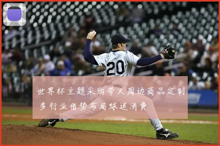 世界杯主题采购带火周边商品定制 多行业借势布局球迷消费