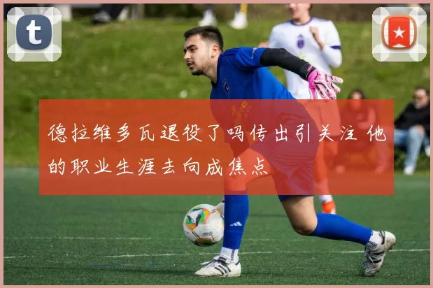 德拉维多瓦退役了吗传出引关注 他的职业生涯去向成焦点