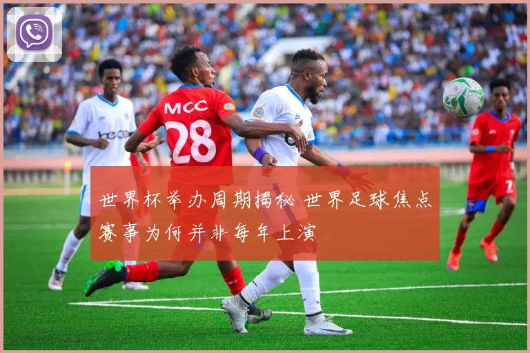 世界杯举办周期揭秘 世界足球焦点赛事为何并非每年上演