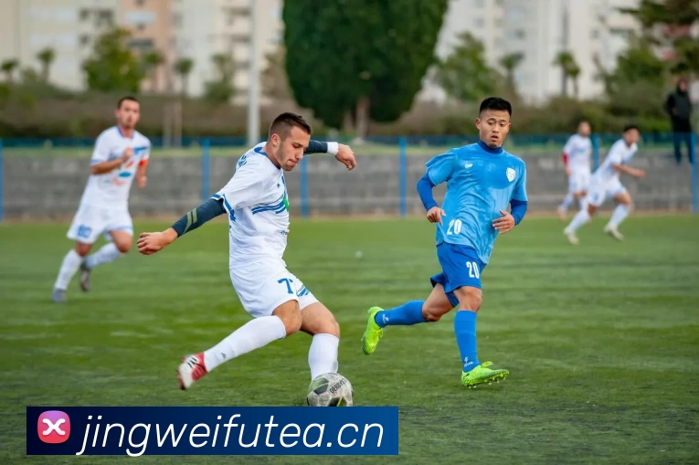 333体育平台登录官网(中国)官方网站APP 高清赛事图